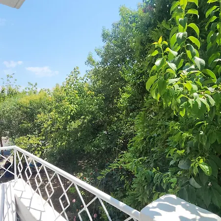 Feel Like 2 Apartamento Shkodër