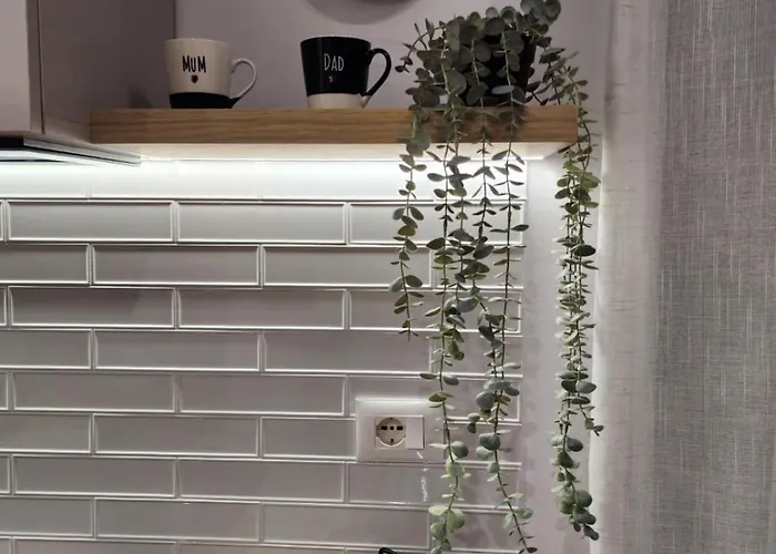 Feel Like 2 Apartamento Shkodër